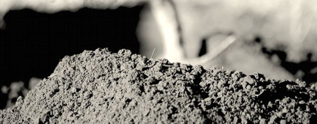 MINIATURA dolorescaceres 640x250