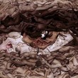 Ciclo de Encuentros: ESTÉTICA ARTE Y FILOSOFÍA El museo Genaro Perez, invita a conformar un espacio de conversación entre las diferentes formas de arte y la filosofía política.