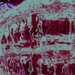 ¿Por qué ha de entenderse siempre el patrimonio como una presencia pasiva, como el vestigio inerte de una realidad pasada?