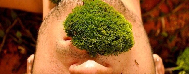 MINIATURA habeas 640x250