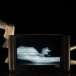 Una puesta en escena que combina elementos del cine, la danza y el teatro, para dar cuenta de la dictadura visual y el desdoblamiento de las individualidades.
