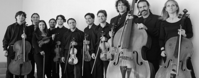 MINIATURA camerata 640x250