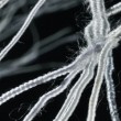 El primero y más antiguo espacio de investigación de arte textil en Córdoba, LA RUECA, nos presenta una singular y poco habitual exposición.