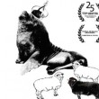Una "Superproducción Subdesarrollada" se exhibirá en la plazoleta de la Compañía, en el marco del Festival Itinerante de Cine.