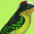 Ciclo "Silvestre", es una invitación a artistas locales y nacionales a experimentar sonoramente.