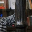 Entrevista: JORGE ZIMA "Cuando esta historia apareció en mi cabeza y abría un viaje a algún lugar, ese lugar inmediatamente fue Córdoba", por Gloria Kreiman.