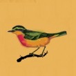 "Indie intimista, dreampop de alberdi", canciones a veces alegres, a veces melancólicas serán parte de la 3º entrega del Ciclo “Silvestre, otras canciones”.