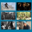 ProYecta Cabildo se suma a la Feria del Libro con la proyección de cortometrajes pertenecientes a los directores más relevantes del Cine Nacional.