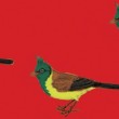 Una invitación a experimentar sonidos y texturas musicales de la mano del reconocido músico cordobes.