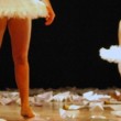 Un espacio dedicado a la difusión de obras de Danza Contemporánea creadas por coreógrafos independientes cordobeses.