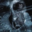 "El cine es una mentira pero cada película necesita mentir con lógica interna", por Lucas Moreno.