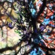 Exposición colectiva de 3 artistas plásticas de Córdoba en la tradicional Galería Cerrito.