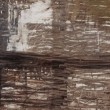 Descartes dijo que "No puede haber ningún espacio completamente vacío"; y Marcelo Swinnen lo aplica a sus trabajos pictóricos.