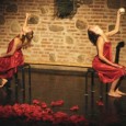 Espectáculos, conferencias y talleres en torno a la Danza Contemporánea.