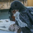 Objetos encontrados por el artista y transformados en obras de arte resaltando su sentido estético y sociológico.