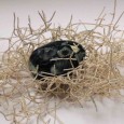Reflexión en vidrio sobre los carácteres intrínsecos del alma humana y su naturaleza ilimitada.