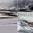 Fotografías que trasmiten la pasión de un cazador y los ojos de un poeta.