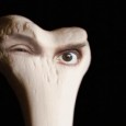 JUANA MOLINA Las doce canciones de Halo abundan con ritmos hipnóticos que parecen sacar su energía de rituales inmemoriales.