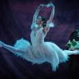 Marianela Núñez baila por primera vez en El Libertador junto al Ballet Oficial de la Provincia.
