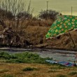 Nicolás nos acerca a un mundo en el que reverberan los tópicos del género rioplatense, a un antihéroe cautivo de una variedad de excesos y mujeres.