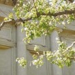 Ciclo "La Linea Piensa", proyecto curatorial de dibujo que  pone la mirada en los artistas de Córdoba a través de una convocatoria abierta del MEC.