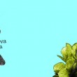 Ciclo «ESTA VIDA NO OTRA» Presentación de la 1# Edición de la colección de pósters EVNO, que cruza la labor y la sensibilidad de poetas y letristas con artistas visuales.