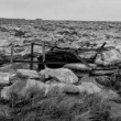 Juan Travnik decidió desnudar el carácter anónimo que lo reviste a los ex combatientes, y exponer su verdadera naturaleza, la de hombres.