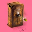 Invitados de lujo para debatir sobre "El futuro del Libro" y el desarrollo de nuevas tecnologías que cambian paradigmas, "Literatura analógica/ literatura digital".
