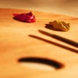 Los proyectos deberán ser inéditos, pensados y diseñados específicamente para el espacio de exhibición de la Sala de Exposiciones Ernesto Farina.