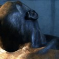 LA EQUS-HEMBRA IRRUMPE ART SHEEP Juan Canavesi presenta esculturas e inaugura un nuevo espacio de exhibición.