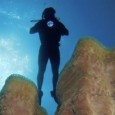Exposición que tiene por misión concientizar a cerca de la necesidad de preservar los ecosistemas marinos.