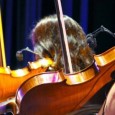 FREDDY PITTIS La Orquesta Provincial de Música Ciudadana tendrá como invitado un cantante de lujo.