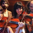 RINGO DISCOS ES CULTURA ENT, Un día perfecto para el pez banana, y Bosques de Groenlandia participan del Ciclo Disco es Cultura.
