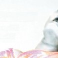 SUSANA ROHRSTOCK Obras que buscan extraer la idea del "pecado" y la transforman en belleza, con un poco de humor y amor.