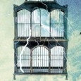 Reseña: JUAN TERRENAL "Historias de desamor en clave de rock", por Marcelo Gómez.