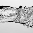 «ARTE Y ZOOLOGÍA» Inaugura la última de las cuatro muestras anuales que forman parte del ciclo Arte y Ciencia, edición 2015.