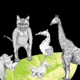 CORO DE CÁMARA Un recorrido sonoro y musical latinoamericano en búsqueda de animales fantásticos.
