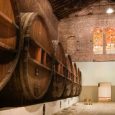Concluye la Clínica de Eduardo Medici con la participación de veinte artistas en muestra colectiva.