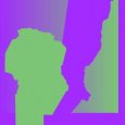 Recorrido virtual por galerías de arte de la Ciudad de Rosario y la Provincia de Córdoba.