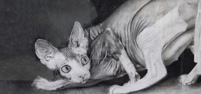 Exposición colectiva de dibujo en ocasión del 15º aniversario de Bitácora de Vuelo.