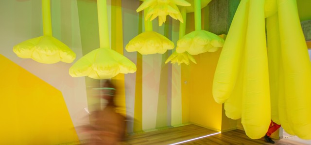 Reapertura de su histórico espacio expositivo en la sede de Adolfo Alsina 673, con instalación de Pablo Curutchet.